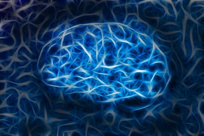 brain-7486701_1920