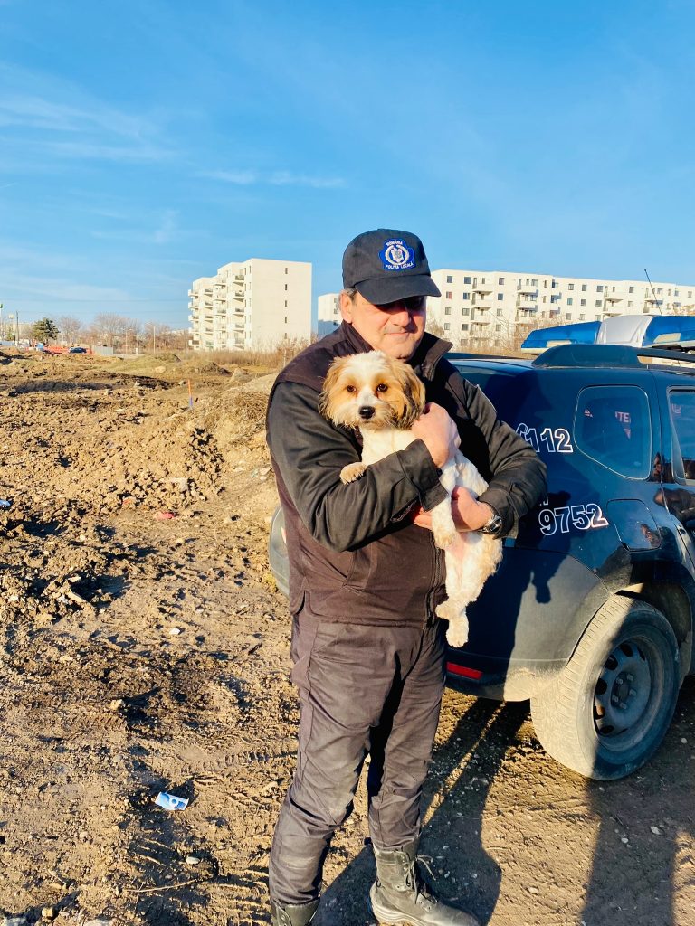 O cățelușă furată a fost găsită după doi ani cu ajutorul cipului de identificare
