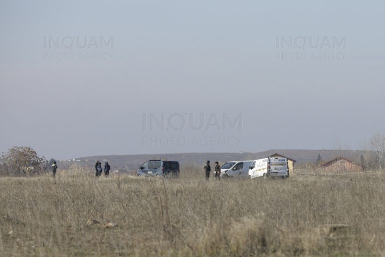 Primăria Sectorului 6 despre cazul femeii ucise de câini: Terenul este privat, primăriile de sector nu au atribuţii pe partea de ecarisaj