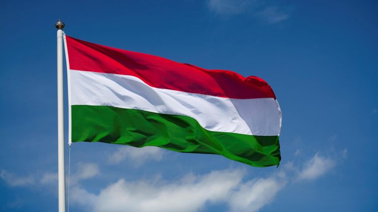 Reuters: Ungaria nu este sigură că va aproba cererea Suediei de aderare la NATO