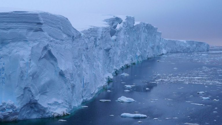 Agenţii patogeni congelaţi care se reactivează după topirea gheţurilor ar putea afecta ecosistemele – studiu
