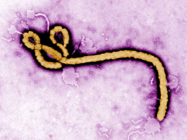 O epidemie la fel de mortală ca Ebola, în Guineea Ecuatorială, determină o reuniune de urgenţă a OMS