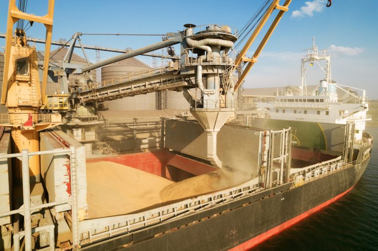 UE a prelungit scutirea de taxe de import pentru mărfurile ucrainene