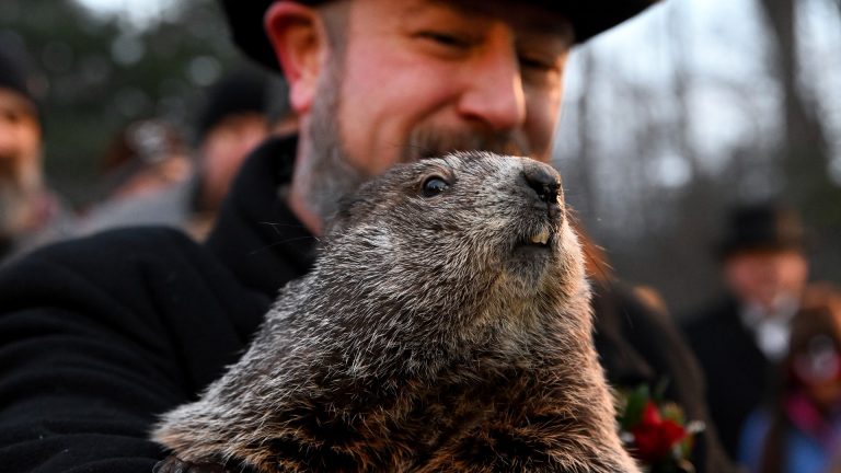 VIDEO | Marmota Phil a prezis cât va mai dura iarna