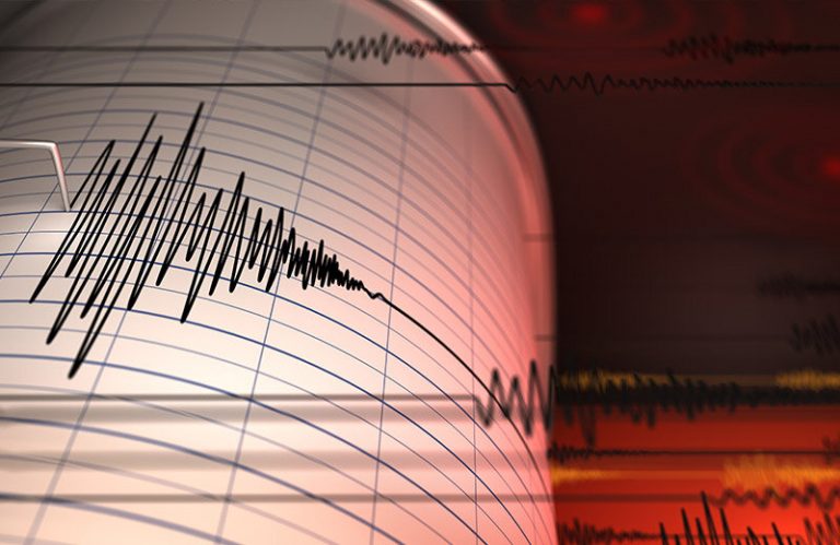 Cutremur cu magnitudinea 4.6, în judeţul Arad. Echipaje operative IGSU vor face recunoaşteri în teren în judeţele unde seismul a fost resimţit