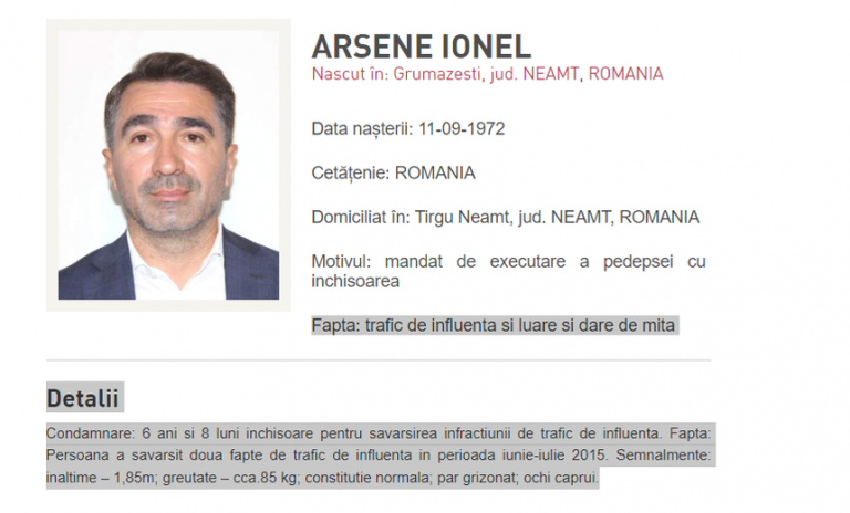 Ce motive invocă avocații lui Ionel Arsene ca să-l scape de extrădare