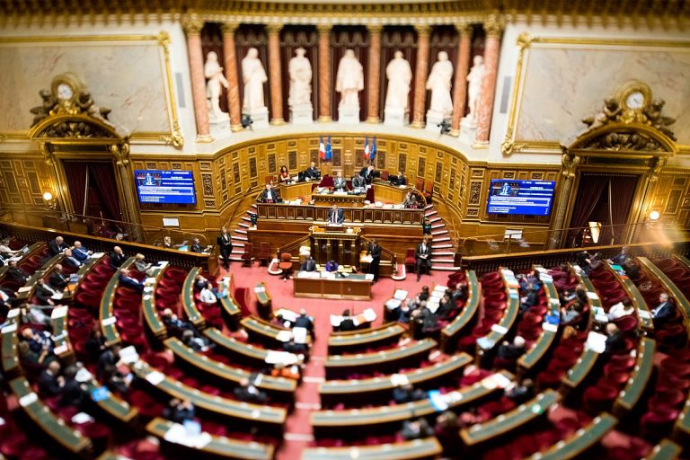 Senatul francez a adoptat noua reformă a pensiilor inițiată de Macron, în ciuda protestelor