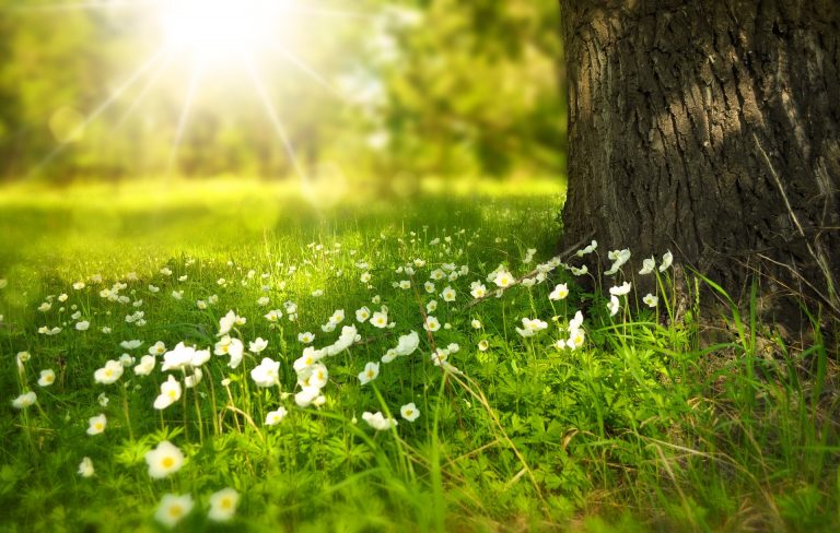 VIDEO | Natura ne face mai fericiți