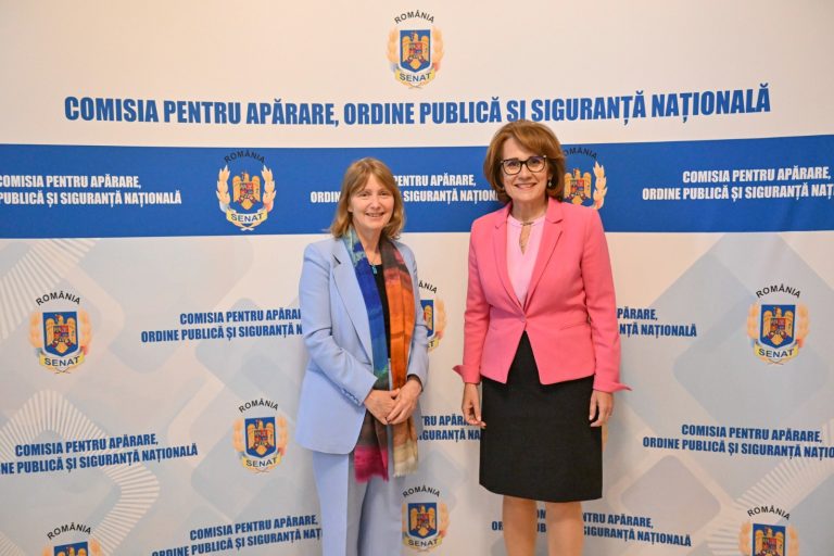 Preşedinta Comisiei pentru apărare, apel către ambasadoarea SUA de a include România în Programul Visa-Waver