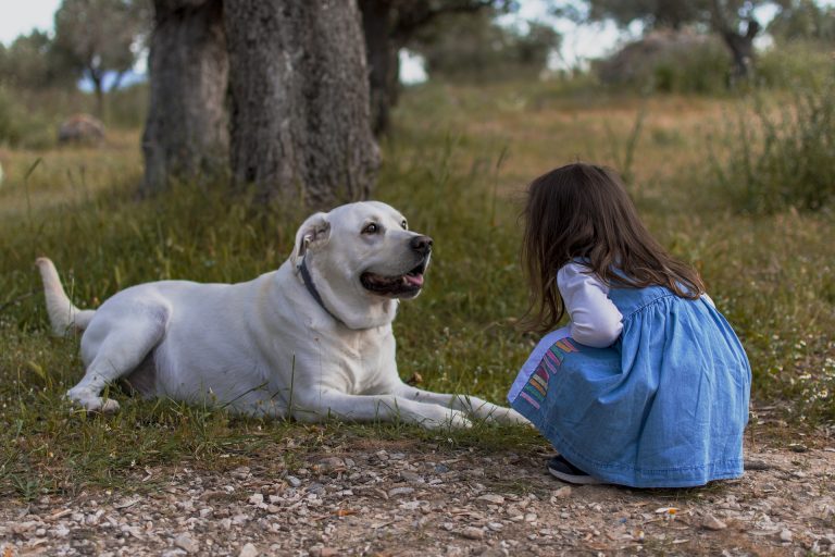 Mai multe dovezi arată că animalele reduc alergiile din copilărie. Cu excepția hamsterilor, care înrăutățesc situația