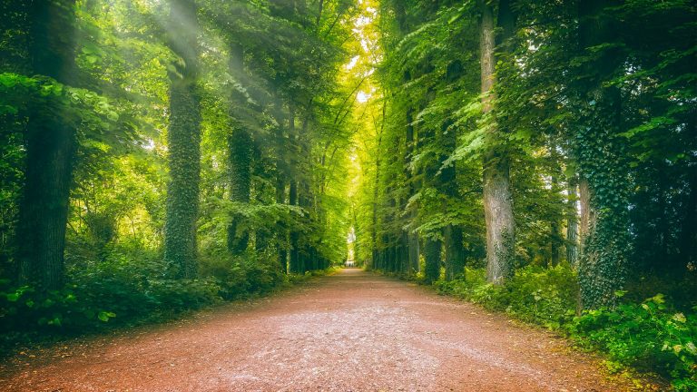 Lyme cases on the steep rise in the USA