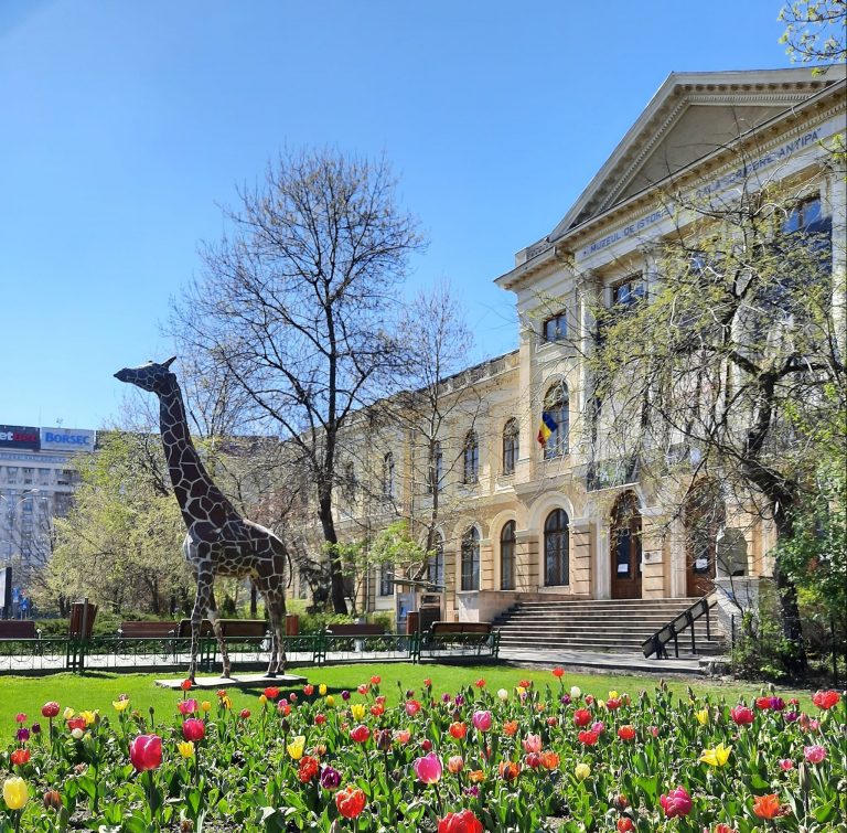 PROGRAM Ziua Copilului – Acces gratuit în muzee şi expoziţii, plimbări cu tramvaiul de epocă, petrecere în curte la „Antipa”, desene pe asfalt în Piaţa Amzei şi pe Calea Victoriei