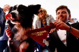 Câinele Snoop, câștigătorul premiului Palm Dog