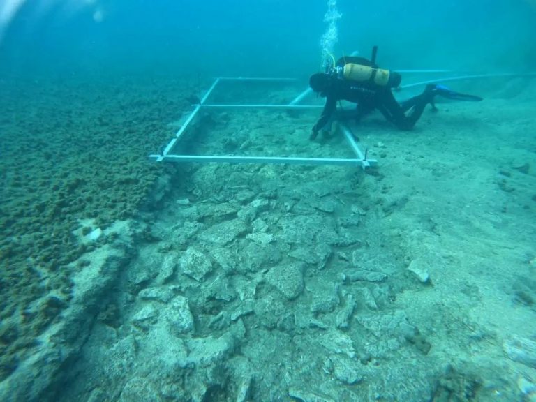 VIDEO | Rămăşiţele unui drum de piatră, vechi de 7.000 de ani, descoperite într-o zonă submarină de pe coasta Croaţiei