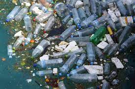 Ciuperci şi bacterii care ”mănâncă plastic” descoperite în mlaştinile saline din China ⋆ Universul.net