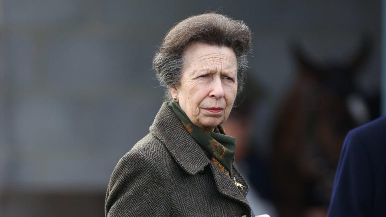 Prinţesa Anne respinge ideea unei monarhii britanice restrânse