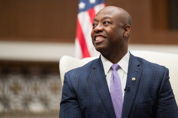 tim scott