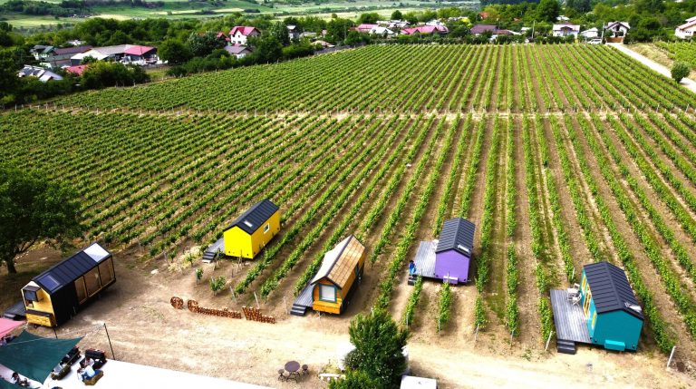 VIDEO | Romania to stage tiny house festival