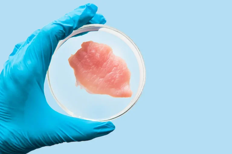 Două companii americane au primit aprobarea finală pentru a comercializa carne cultivată în laborator
