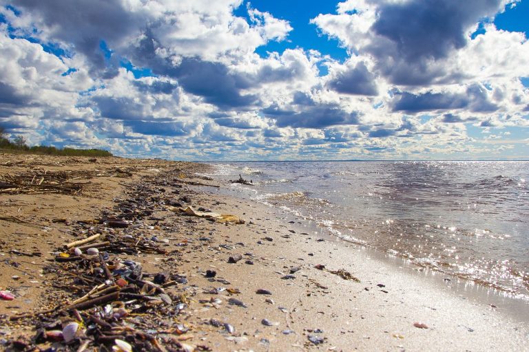RAPORT: Cantitatea de plastic din apele globale s-ar putea dubla până în 2060. România reciclează doar 30% din plasticul folosit
