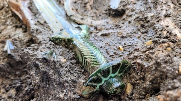 Archeologists find an intact Bronze Age sword in Germany