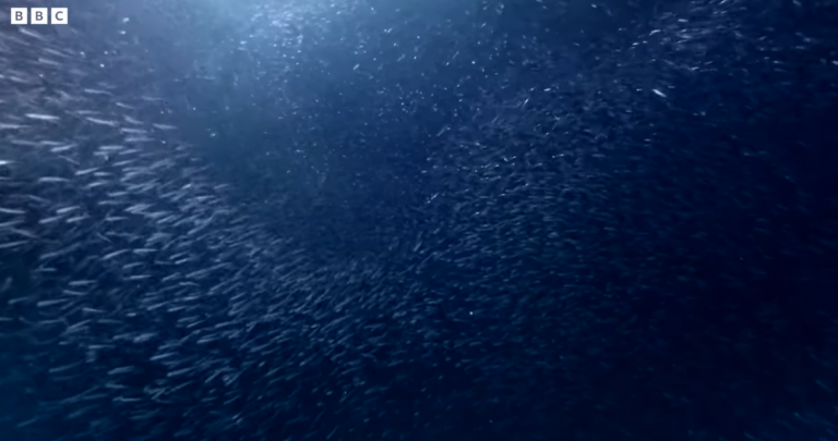 A ship off the Dutch Coast with 3,000 cars currently on fire