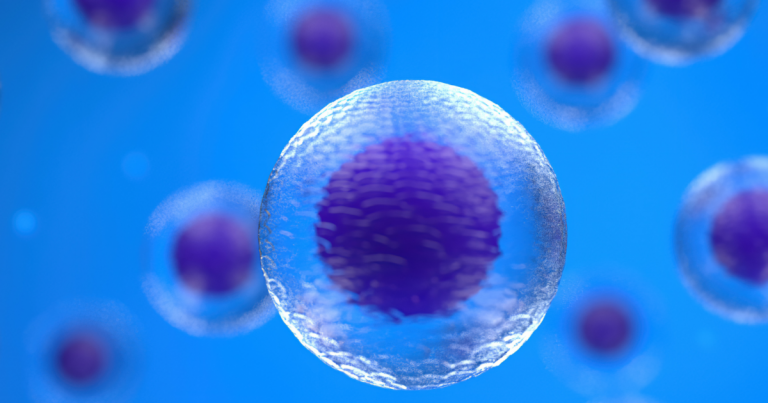 O celulă construită sintetic, cu doar câteva gene esenţiale, poate evolua la fel de rapid ca una naturală