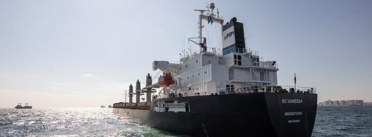 O navă civilă ucraineană care transporta grâu a fost lovită de o rachetă rusească în Marea Neagră