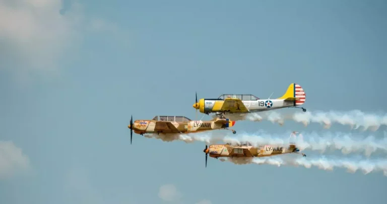 VIDEO | Cel mai mare show aviatic din România a început pe Aeroportul Băneasa