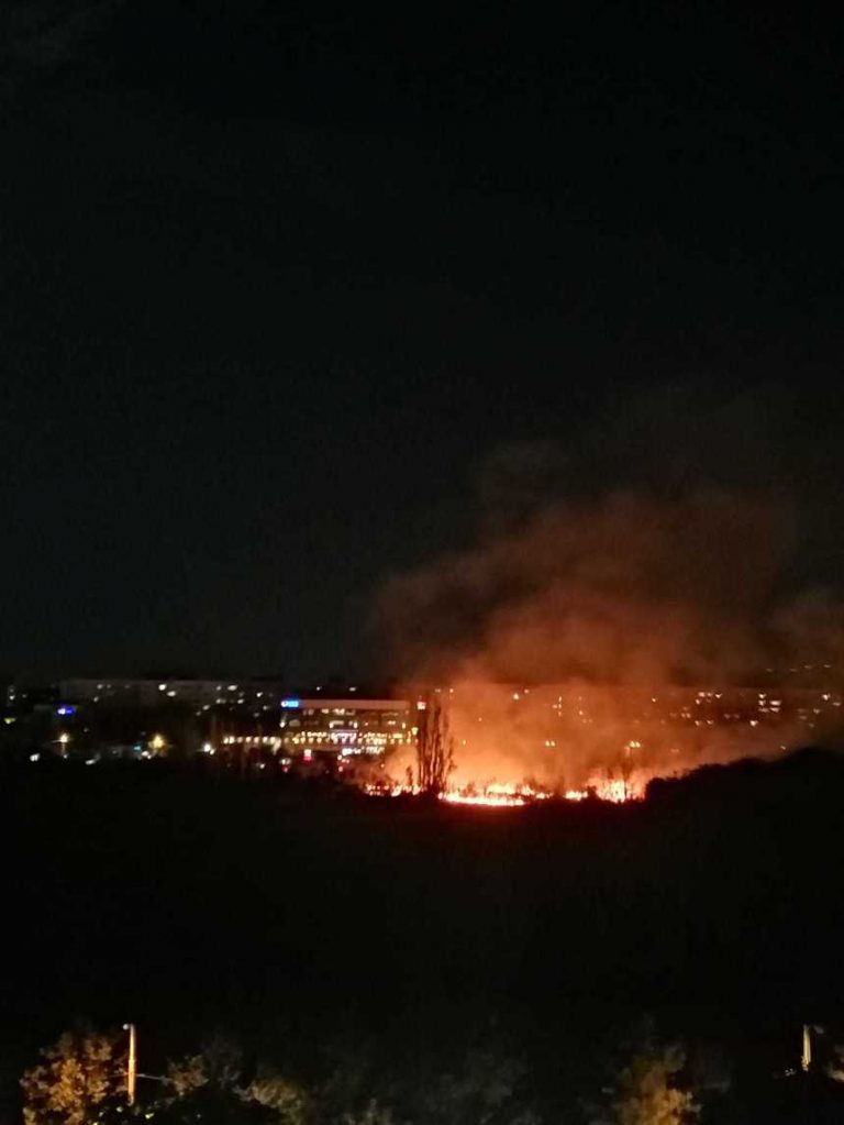 VIDEO | Puternic incendiu de vegetaţie, în Parcul IOR/ Pompierii intervin cu mai multe autospeciale