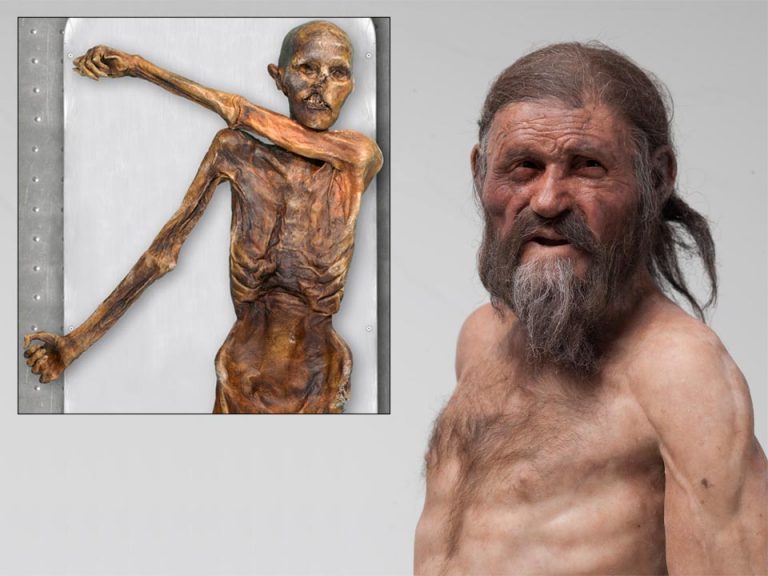 Otzi, ”Omul Gheţurilor”, avea strămoşi originari din Anatolia şi o calviţie pronunţată