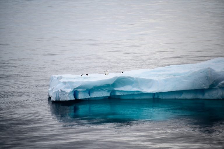 Studiu: Nu există o soluţie rapidă pentru a inversa pierderea de gheaţă din Antarctica