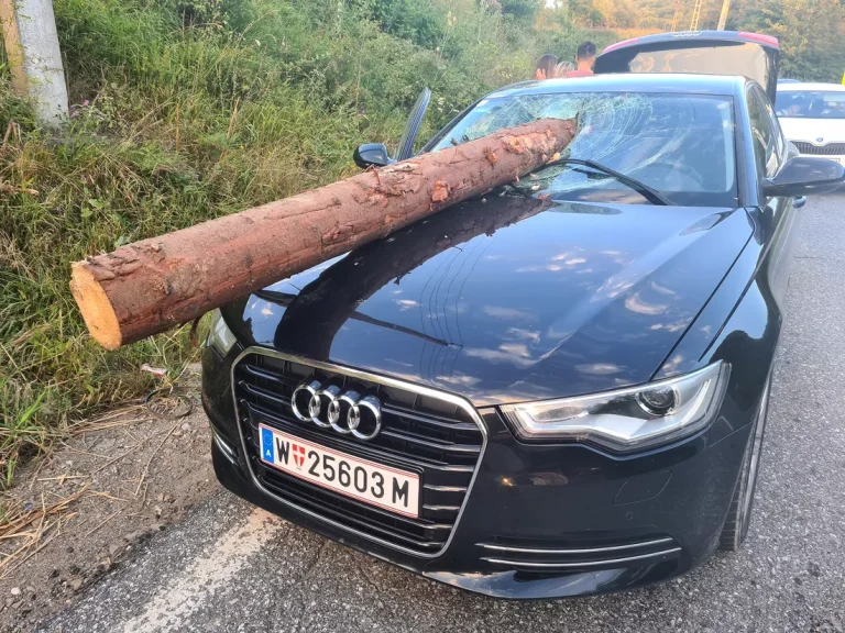 Braşov: Un buştean s-a desprins din remorca unui TIR şi a intrat prin parbrizul unui autoturism / Şoferul maşinii a fost rănit
