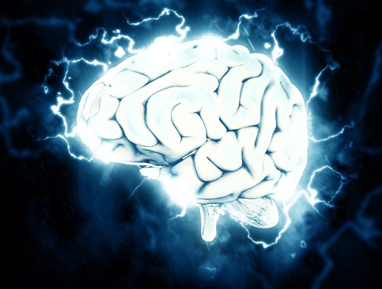 Comunicarea dintre muşchii corpului şi creier influenţează fertilitatea, conform unui studiu