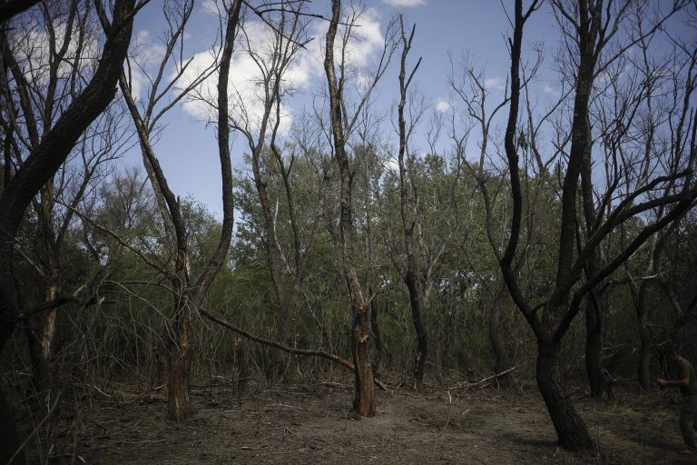 Încă o dronă a căzut în România. Ministerul Apărării a găsit un crater cu posibilă explozie la impact, lângă Plauru