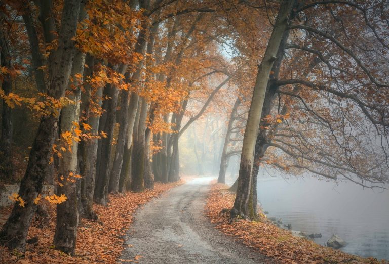 ANM: Temperaturi mai mici decât cele specifice până la sfârşitul lunii octombrie