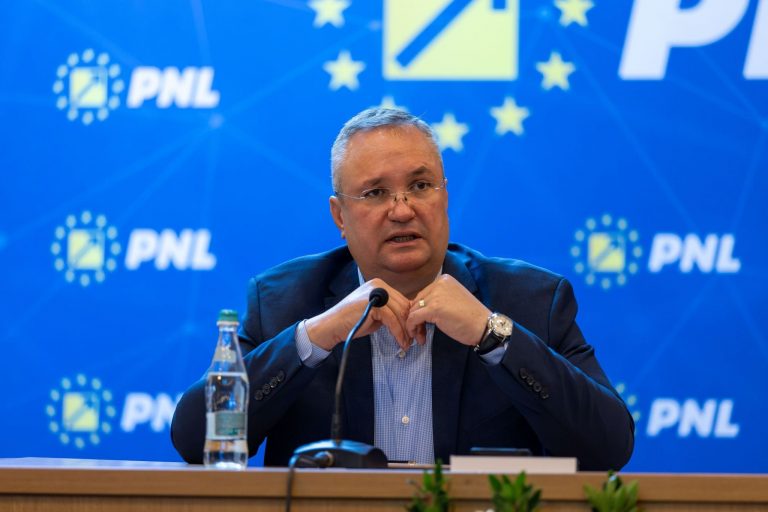 Ciucă: Bătălia acestui an este între democraţie şi autoritarism