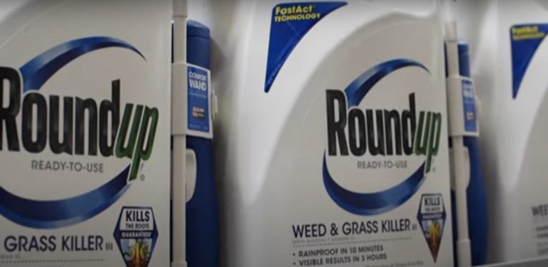 Condamnată aspru de un juriu american din cauza glifosatului, compania Bayer anunţă că va face apel