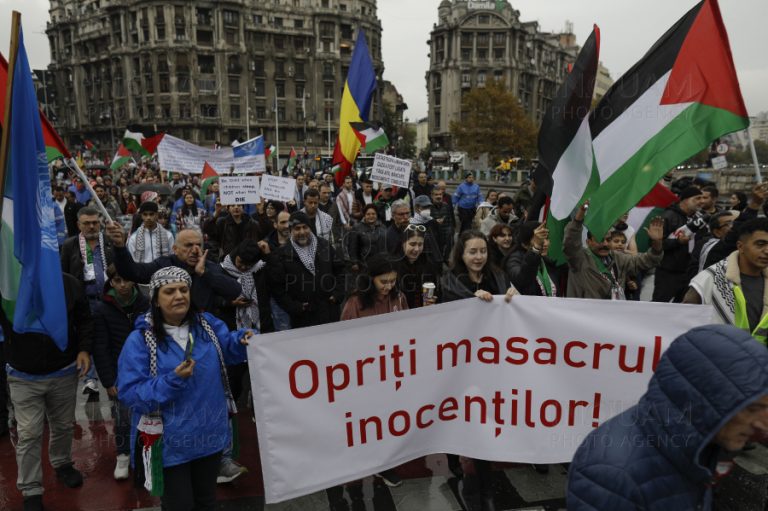 Pro-Palestine rally in Romanian capital