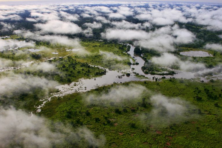 COP28: Oamenii de ştiinţă lansează un proiect de cercetare asupra rolului bazinului Congo în sistemul climatic global