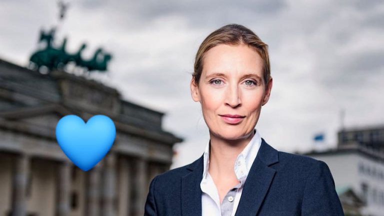 Șefa partidului de extremă dreaptă AfD, în ascensiune. Cine este Alice Weidel