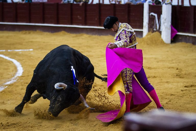 VIDEO | Coridele revin în Ciudad de Mexico pe 28 ianuarie după lupte în instanţă ce au durat peste un an