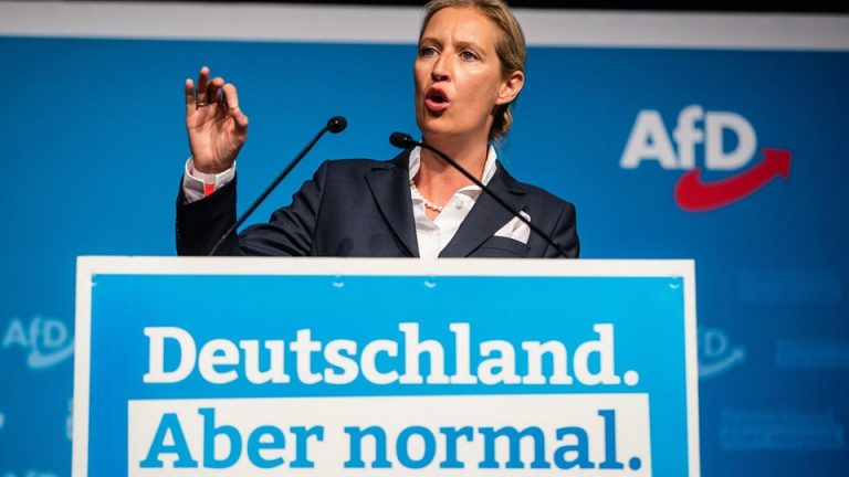 Extrema dreaptă germană ar pregăti expulzarea în masă a imigranţilor, chiar dacă au cetăţenie germană, susţine un site de investigaţii. Alternativa pentru Germania (AfD) neagă