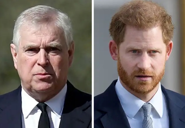 Prinţii Andrew şi Harry nu îl mai pot înlocui pe regele Charles al III-lea în caz de incapacitate