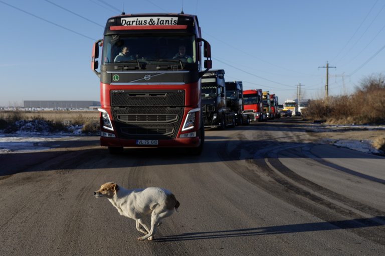 24 de dosare penale pentru instigare, în timpul protestelor transportatorilor și fermierilor. Şeful Poliţiei Române susține că se incită la violenţă pe grupurile de socializare