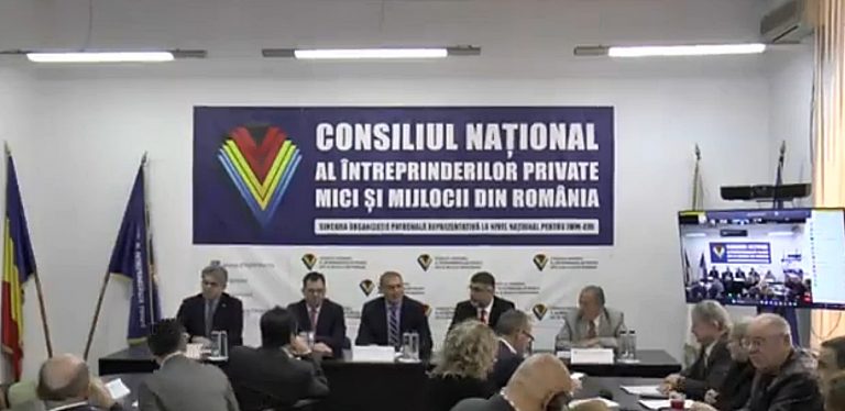 Preşedintele Consiliului Naţional al IMM-urilor din România: Investiţiile în companiile conduse de doamne sunt mai mici decât investiţiile în companiile conduse de domni, dar cifra de afaceri a acestora şi profitul e mai mare
