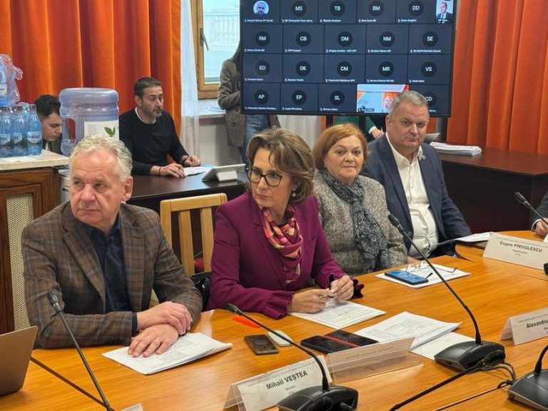 Nicoleta Pauliuc: Comisiile de Muncă și Buget-Finanțe din Senat au votat în unanimitate eliminarea impozitului de 10% pe concediile medicale