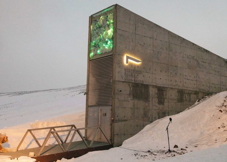 ”Depozitul Apocalipsei” din Arctica a primit un număr record de loturi de seminţe