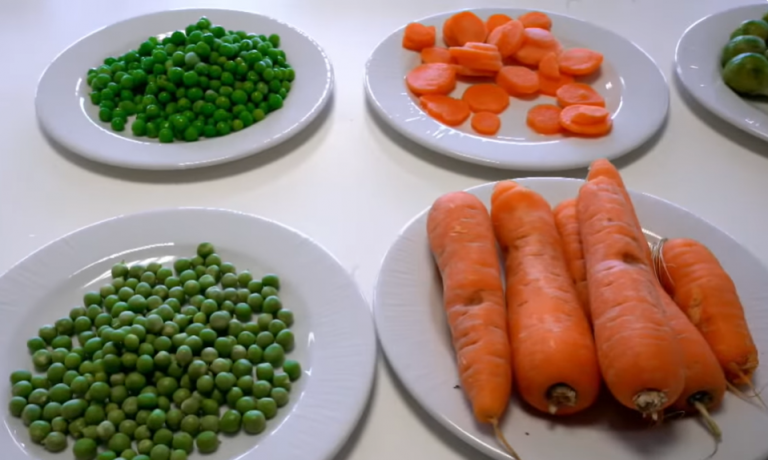 VIDEO | Alimente proaspete versus congelate