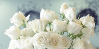 trandafiri-albi-in-vaza. Foto: Shutterstock